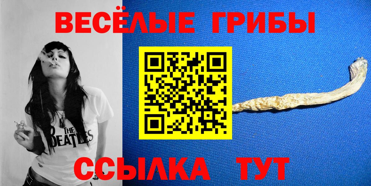 Черкесск  Галлюциногенные грибы мицелий  Вход с VPN 